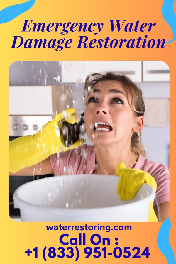 Emergency Water Damage Restoration in Dakota City, IA