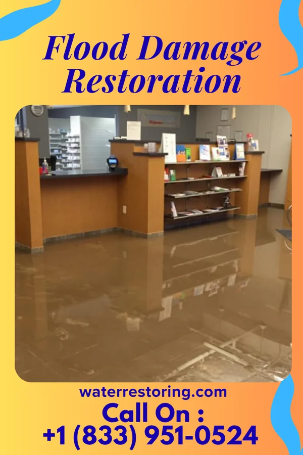 Flood Damage Restoration in Dakota City, IA